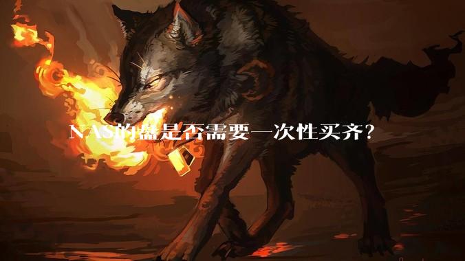 NAS的盘是否需要一次性买齐？